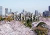 Trọn bộ kinh nghiệm du lịch thành phố Fukuoka nổi tiếng Nhật Bản
