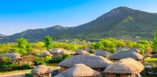 Du lịch thành phố Suncheon Hàn Quốc, tận hưởng vẻ đẹp yên bình mộc mạc